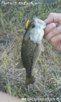 �֥�å��Х�