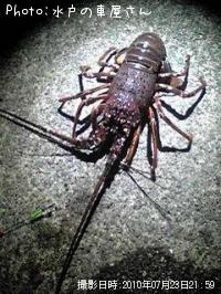 ������Ϸ