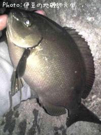 ��Ĺ�᥸��