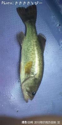 �֥�å��Х�