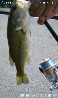 ¥Ö¥é¥Ã¥¯¥Ð¥¹