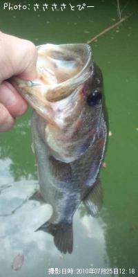 �֥�å��Х�