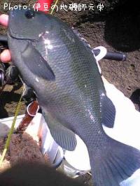 �����᥸��