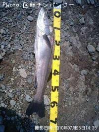 �����Х�