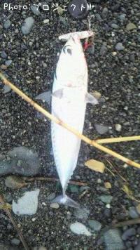 �ޥ륽����