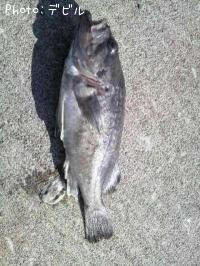 ¥¯¥í¥½¥¤¡¦¥Þ¥á¥¤¥«