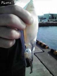 ¥¯¥í¥½¥¤¡¦¥Þ¥á¥¤¥«