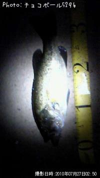 ¥Ö¥é¥Ã¥¯¥Ð¥¹