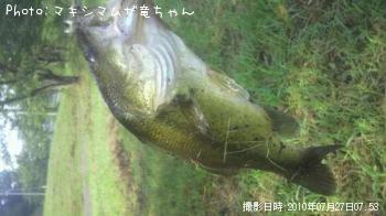 ¥Ö¥é¥Ã¥¯¥Ð¥¹