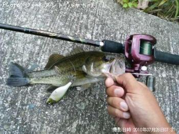 �֥�å��Х�