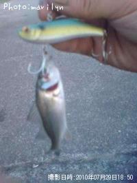 �����Х�