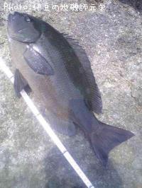 ¸ýÂÀ¥á¥¸¥Ê