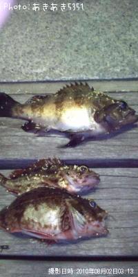 ¥á¥Ð¥ë¡¢¥¬¥·¥é