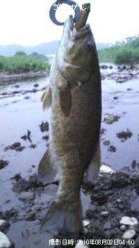 ¥Ö¥é¥Ã¥¯¥Ð¥¹