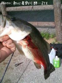 �֥�å��Х�