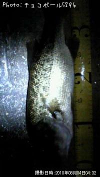 �֥�å��Х�