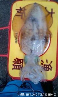 �����ꥤ��