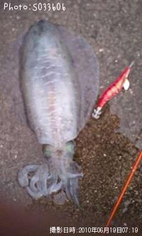 �����ꥤ��