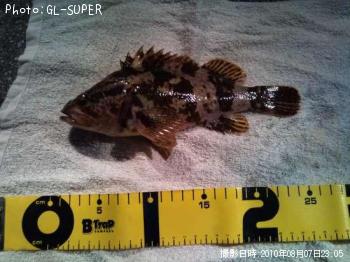 �����Υ���Х�