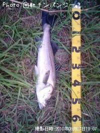 �����Х�