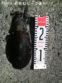 �����ꥤ��