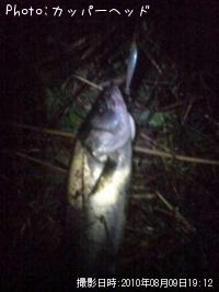 �����Х�