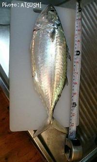 ���륯�ޡ�