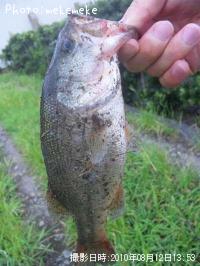 �֥�å��Х�