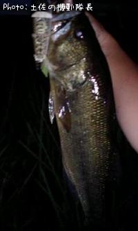 �֥�å��Х�