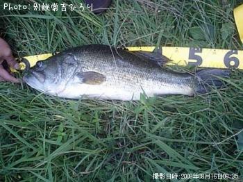 �֥�å��Х�