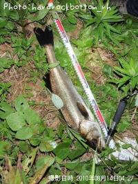 �����Х�