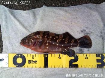 �����ϥ�