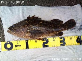 ¥¿¥±¥Î¥³¥á¥Ð¥ë