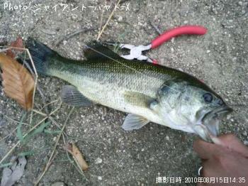 �֥�å��Х�