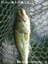 ¥Ö¥é¥Ã¥¯¥Ð¥¹