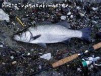 �ҥ饹����