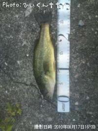 ¥Ö¥é¥Ã¥¯¥Ð¥¹