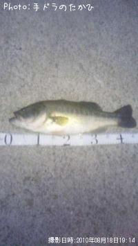 �֥�å��Х�