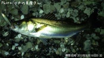 �����Х�