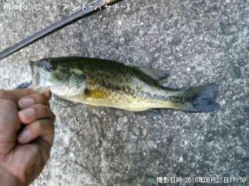 �֥�å��Х�