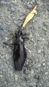 �����ꥤ��