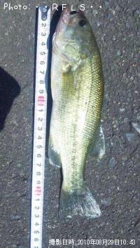 �֥�å��Х�