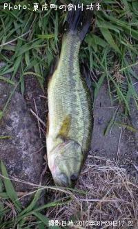 ¥Ö¥é¥Ã¥¯¥Ð¥¹