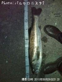 �����Х�