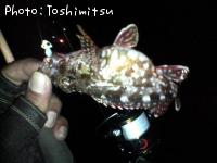 �����顡��Х�