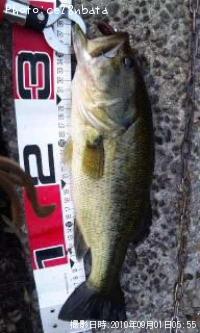 �֥�å��Х�