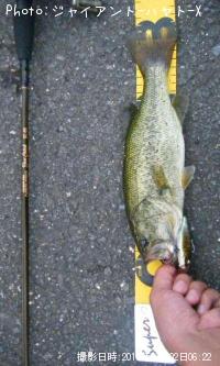 �֥�å��Х�