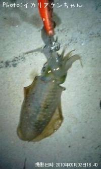 �����ꥤ��