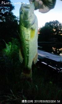 ¥Ö¥é¥Ã¥¯¥Ð¥¹