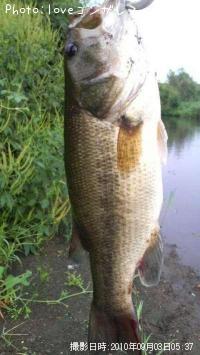 ¥Ö¥é¥Ã¥¯¥Ð¥¹